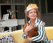 СЕВІДЖ
«Дивна місіс Севідж» Д.Патріка. 2009 рік.