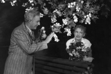 КОМАРОВСЬКИЙ
«Коли цвіте акація» М.Винникова. 1956 р.
Г. Будиліна – Анюта.
