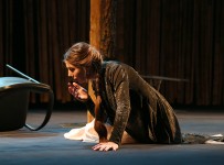 у виставі Дерева помирають стоячи 