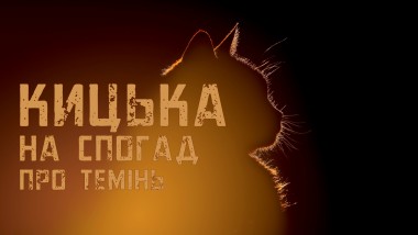 Image Кицька на спогад про темінь