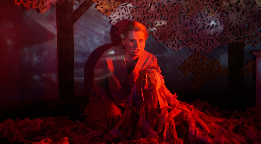 Image Проста українська скіфська баба